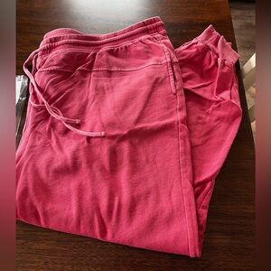 New Candace Cameron Bure plus Azalea  Joggers 2X